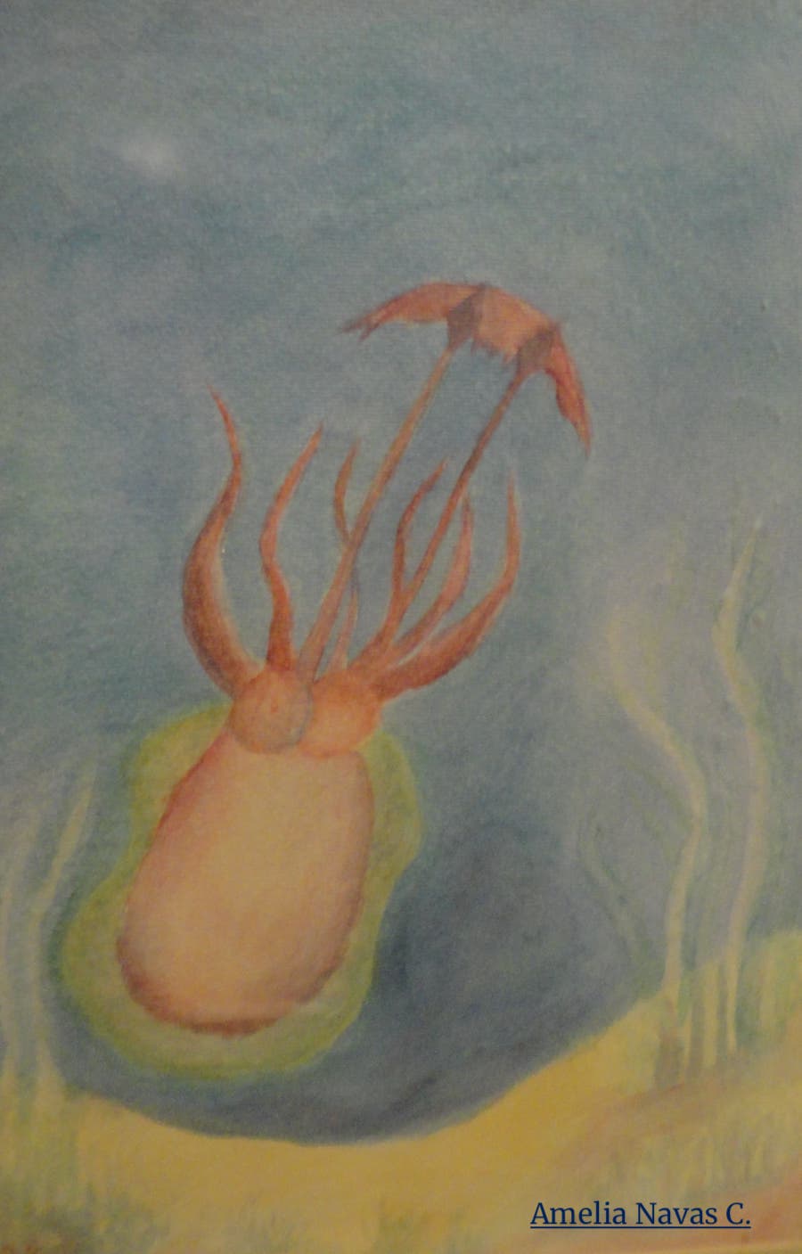 Sepia Amelia.Imagen.jpg